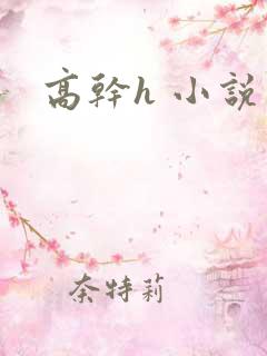 高干h 小说