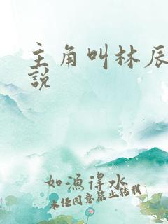主角叫林辰的小说