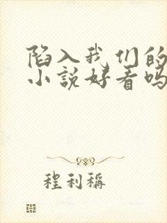 陷入我们的热恋小说好看吗