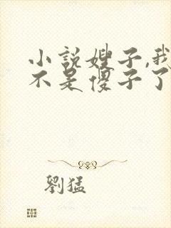 小说嫂子,我真不是傻子了免费阅读