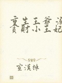 重生王爷 溺宠贪财小王妃