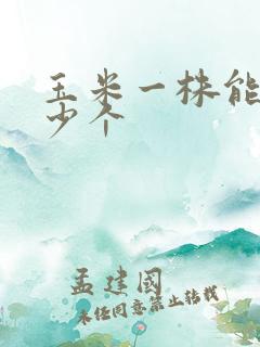 玉米一株能结多少个