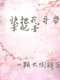 快把我哥带走万幸配音