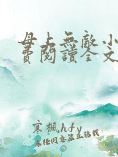 母上无敌小说免费阅读全文
