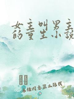 女主叫男主皇叔的重生小说