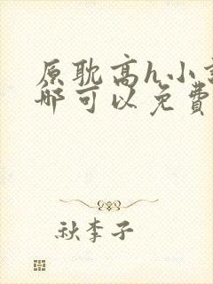 原耽高h小说在哪可以免费阅读
