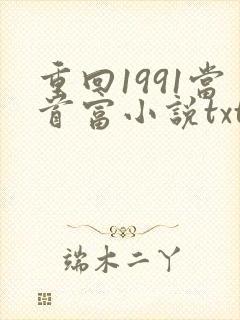 重回1991当首富小说txt