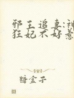 邪王追妻:神医狂妃不好惹