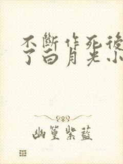 不断作死后我成了白月光小说免费读