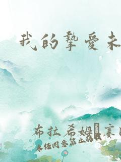 我的挚爱未婚妻