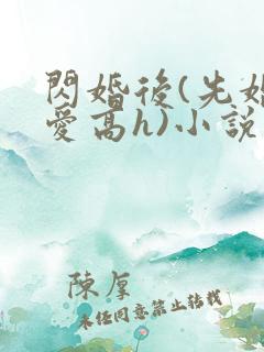 闪婚后(先婚后爱高h)小说