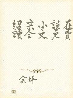 绍宋小说在线阅读全文免费