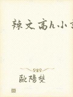 辣文高h小说网