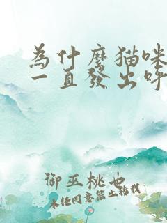 为什么猫咪睡觉一直发出呼噜呼噜的声音