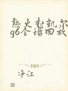 热火对凯尔特人g6全场回放
