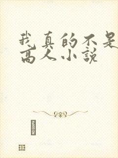 我真的不是盖世高人小说