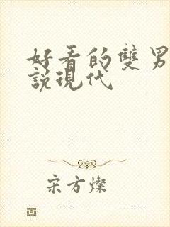 好看的双男主小说现代