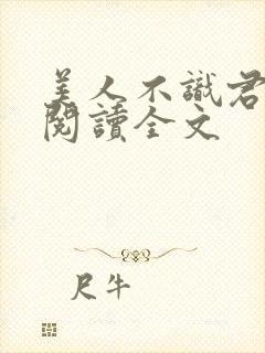 美人不识君免费阅读全文