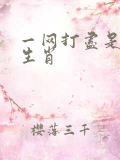 一网打尽是什么生肖
