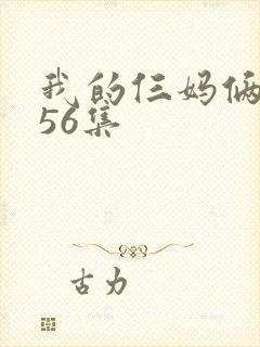 我的仨妈俩爸第56集