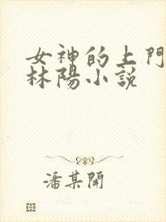 女神的上门贵婿林阳小说