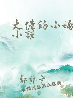 大佬的小娇夫 小说