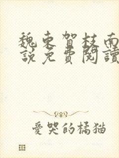 魏东贺枝南的小说免费阅读