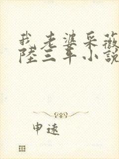 我老婆采薇养父陆三平小说在人间