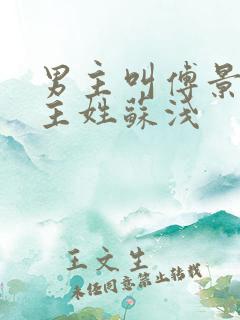 男主叫傅景琛女主姓苏浅