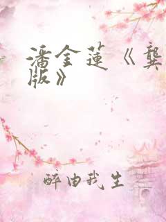 潘金莲《龚玥菲版》