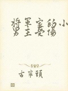 将军家的小娘子男主受伤