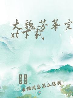 大魏芳华完本txt下载