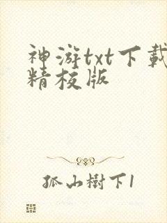 神游txt下载精校版