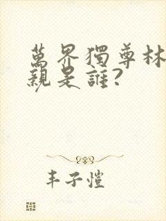 万界独尊林枫母亲是谁?