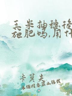 玉米抽穗后还能施肥吗,用什么肥料比较好?