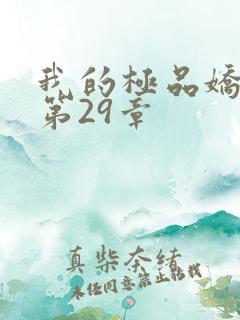 我的极品娇妻 第29章
