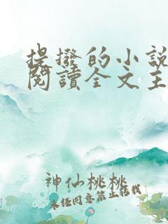 提拨的小说免费阅读全文主角重生