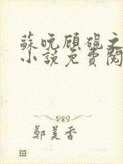苏晚顾砚之原著小说免费阅读