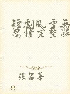 短剧风雪无尽相思情完整版免费观看