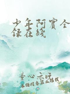 少年阿宾全文目录在线