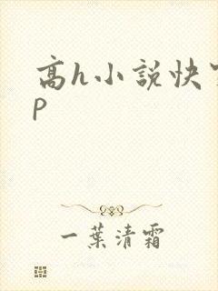 高h小说快穿np