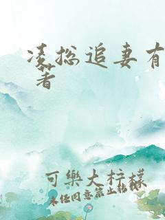 凌总追妻有点甜 著