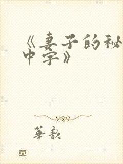 《妻子的秘密3中字》