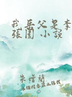 我岳父是李世民张围 小说