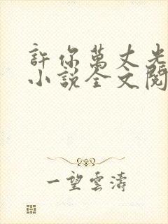许你万丈光芒好小说全文阅读