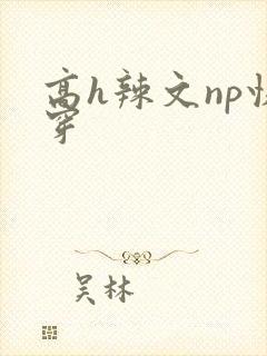 高h辣文np快穿