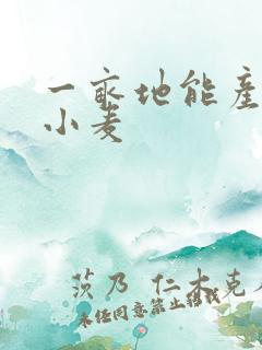 一亩地能产多少小麦