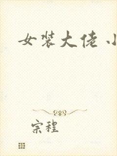 女装大佬 小说