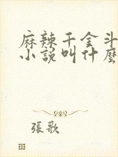 麻辣千金斗恶少小说叫什么