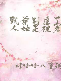战爷别虐了,夫人她是被冤枉的免费阅读